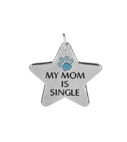 Pawfect Match Pet Tag & Keychain