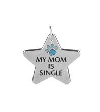 Load image into Gallery viewer, Pawfect Match Pet Tag &amp; Keychain
