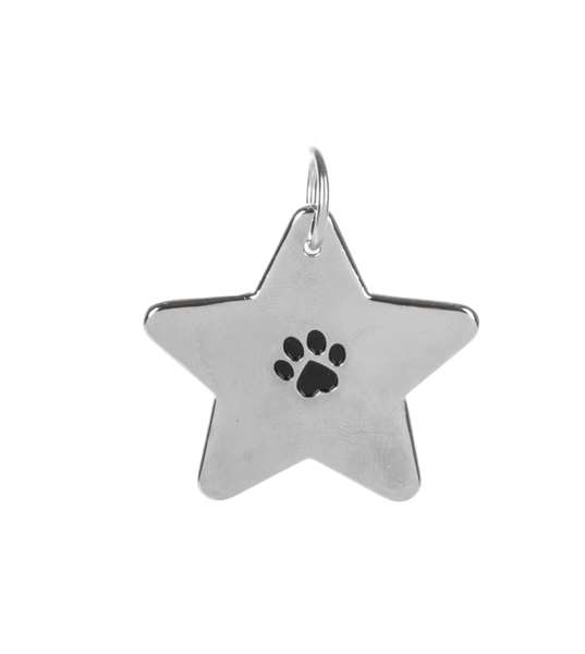 Pawfect Match Pet Tag & Keychain