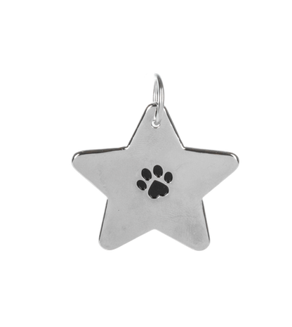 Pawfect Match Pet Tag & Keychain
