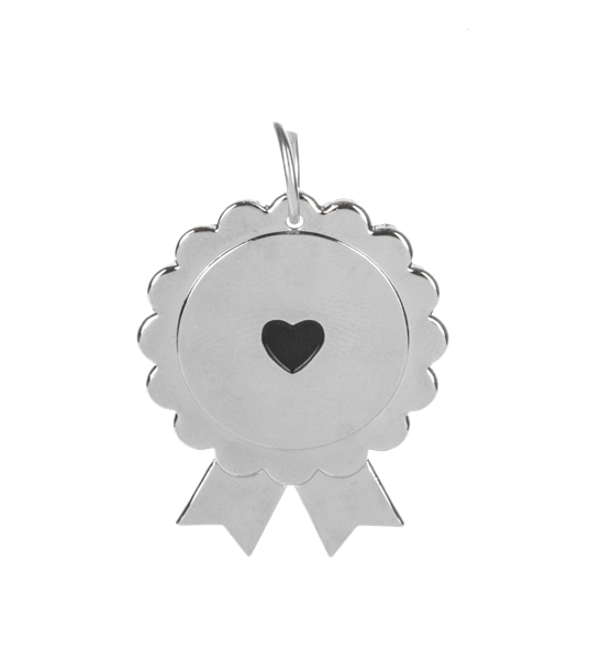 Pawfect Match Pet Tag & Keychain