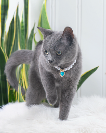 Furever Fancy Pearl Necklace