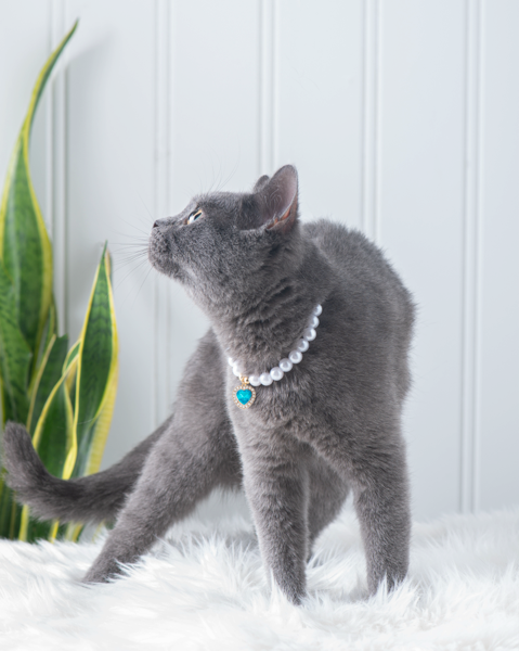 Furever Fancy Pearl Necklace