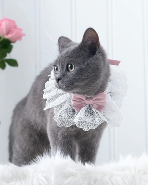 Furever Fancy Lace Necklace