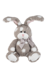Load image into Gallery viewer, Dottie Delights Bunnie
