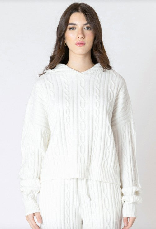 Carol Hooded Cable Sweater-2627022
