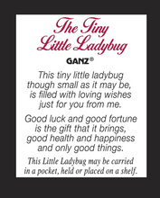 Load image into Gallery viewer, Tiny Little Ladybug Charm
