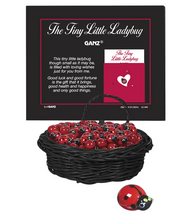 Load image into Gallery viewer, Tiny Little Ladybug Charm
