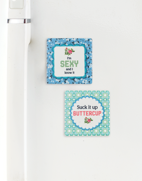 Cheeky Magnets