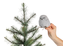Load image into Gallery viewer, Clip-on Winter Owl Ornaments
