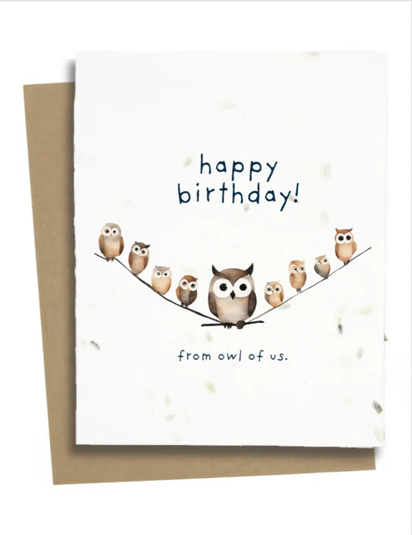 Punny Owl Birthday Card - OBCC