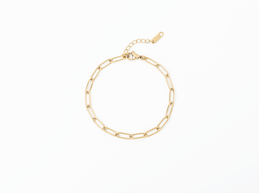 PVD Paperclip Chain Bracelet