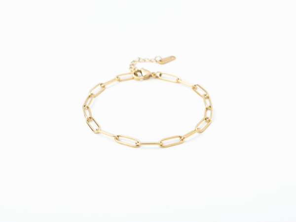 PVD Paperclip Chain Bracelet