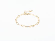 Load image into Gallery viewer, PVD Paperclip Chain Bracelet
