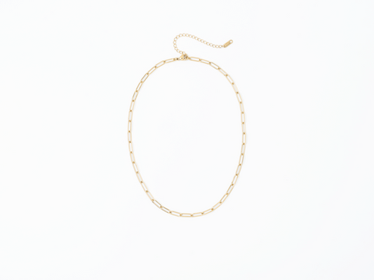 PVD Paperclip Chain Necklace