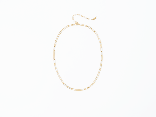 PVD Paperclip Chain Necklace