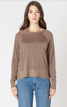 Load image into Gallery viewer, Taupe Shimmer Sweater-2627509
