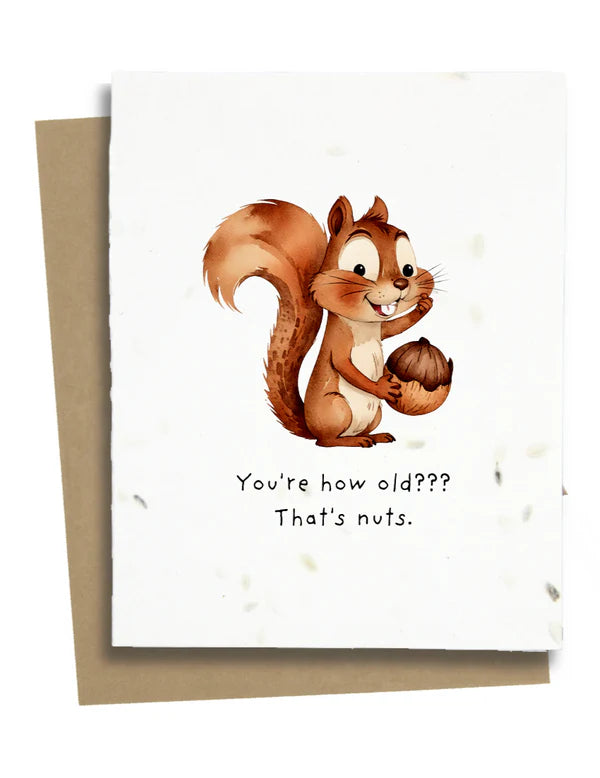 Squirrel Birthday Card - SBC