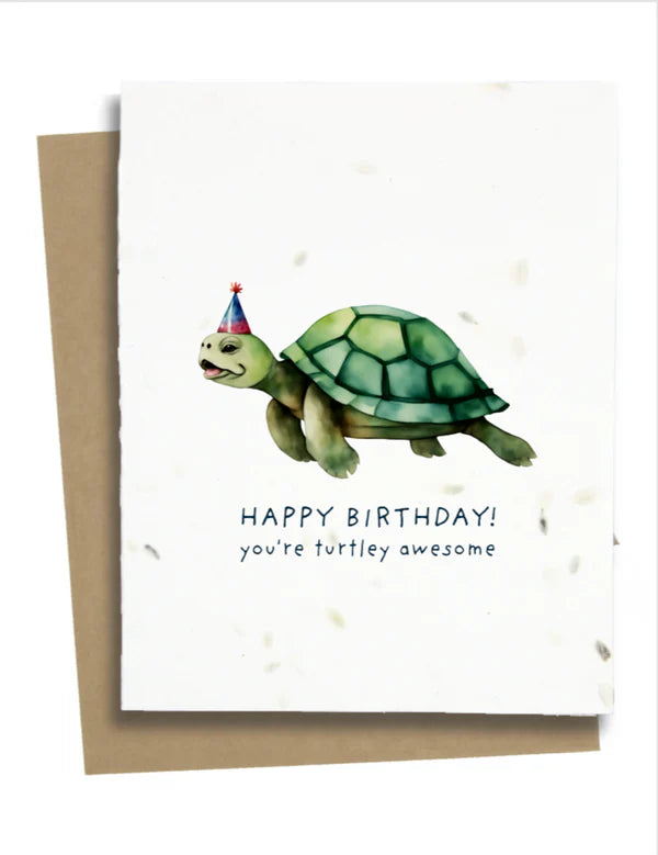 Turtle Birthday Greetings - TBG