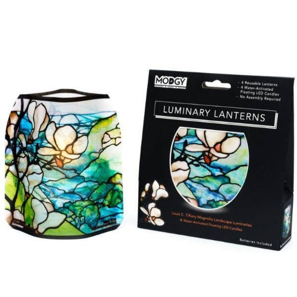 Luminary - Louis C. Tiffany Magnolia Landscapes