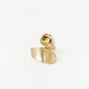 Wrap Matte & Shiny Ring
