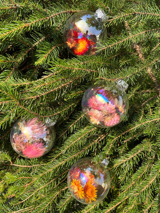 Dried flowers glass christmas ball in orange and pink tones