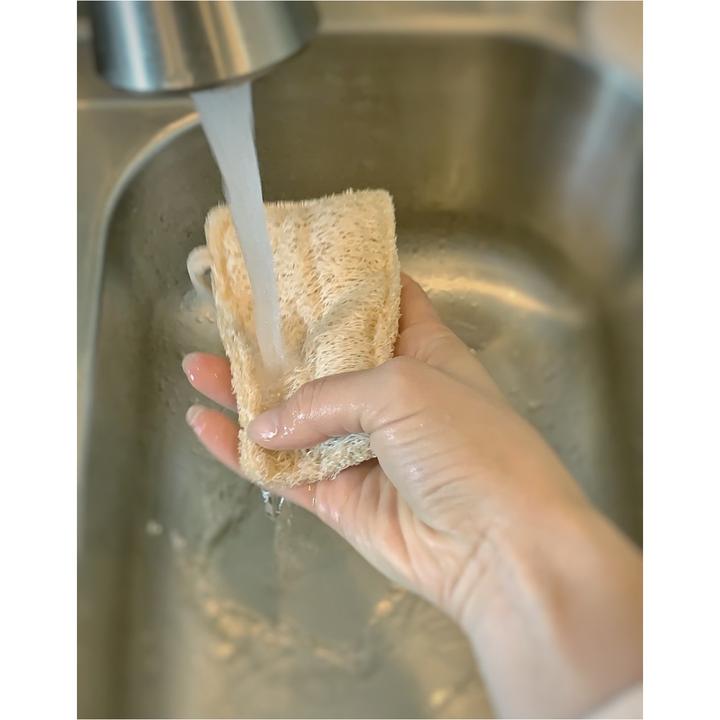 Eco Dish Sponge - Double Layer 3-pack