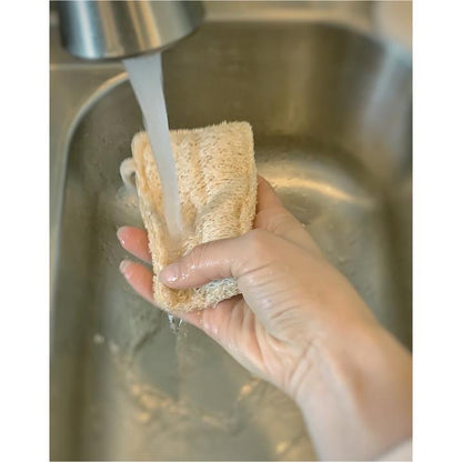Eco Dish Sponge - Double Layer 3-pack