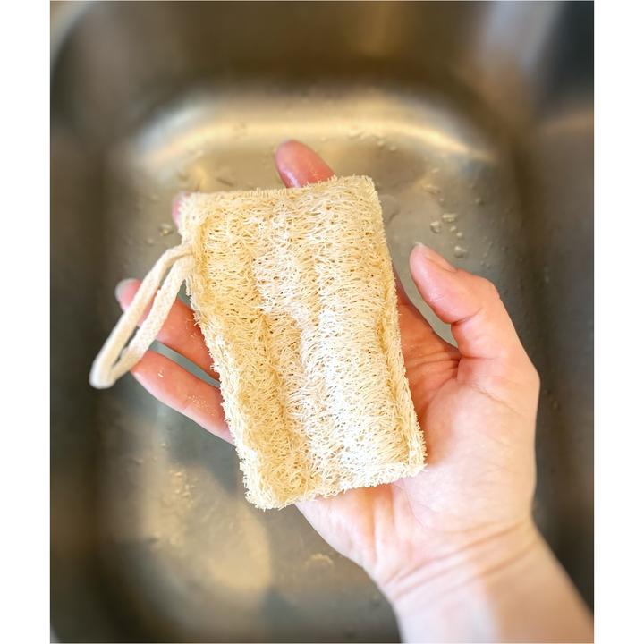 Eco Dish Sponge - Double Layer 3-pack