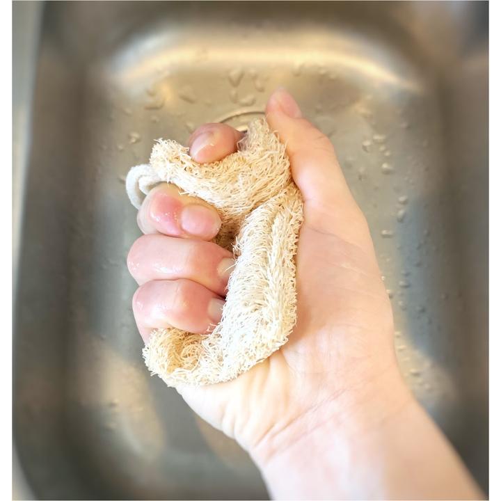 Eco Dish Sponge - Double Layer 3-pack