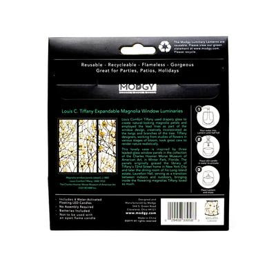 Luminary - Louis C. Tiffany Magnolia Window