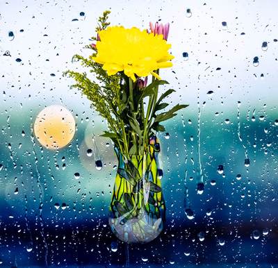 Suction-Cup Flower Vase