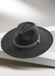 Silver Bolo Tie Floppy Brim Hat