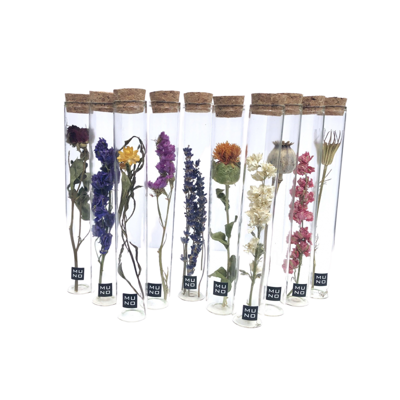 TUBE 20 CM WITH DRIED FLOWER