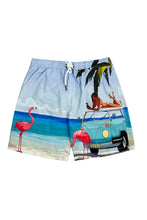 Load image into Gallery viewer, 17&quot; Volley Swim Shorts
