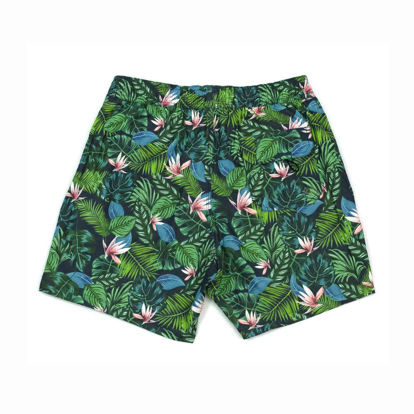 Island Haze Prints