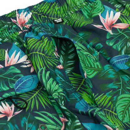 Island Haze Prints