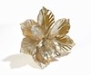 Magnolia w/clip